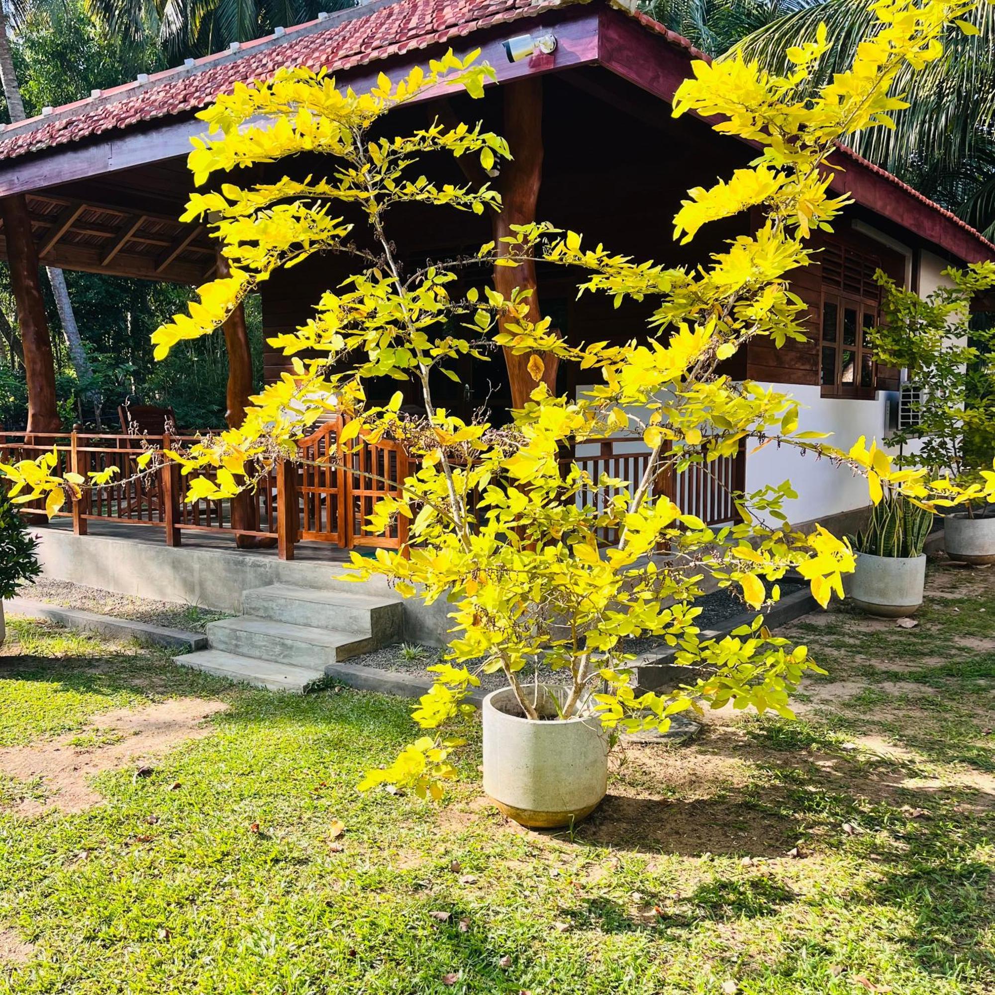 Hanguk Lanka Lagoon Villa Тангалла Экстерьер фото
